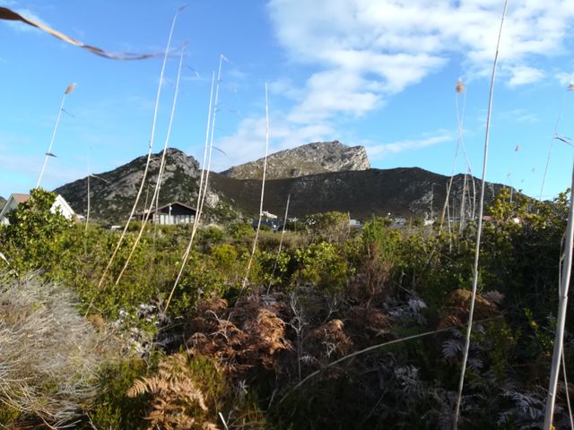 0 Bedroom Property for Sale in Pringle Bay Western Cape